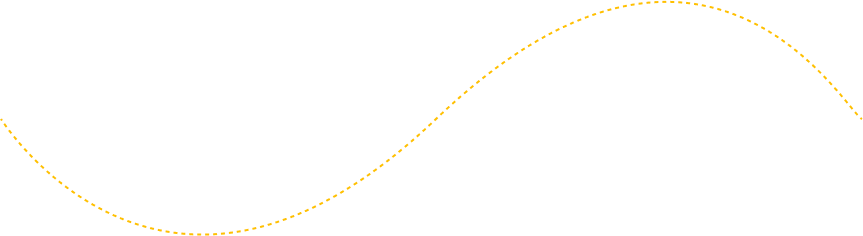 Decorative line connecting Homer NY Taxi Service booking steps