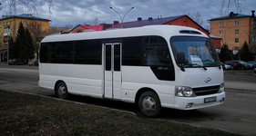 Homer NY mini-bus for 10 to 40 passengers, good for tours and group rides
