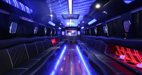 Homer NY party bus for 3 to 20 passengers, fun for nightlife and celebrations
